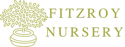 Fitzroy Nursery