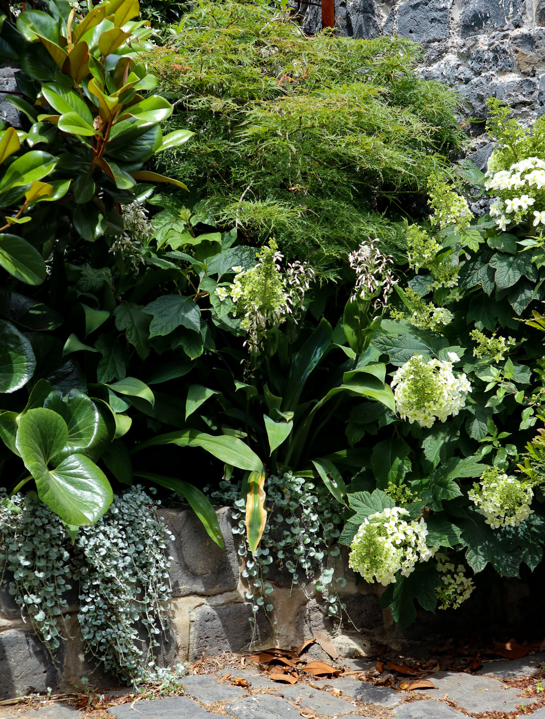 Fitzroy Courtyard