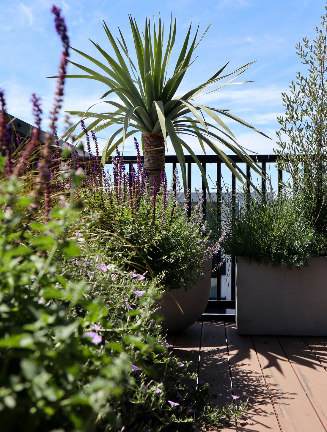 Fitzroy Rooftop