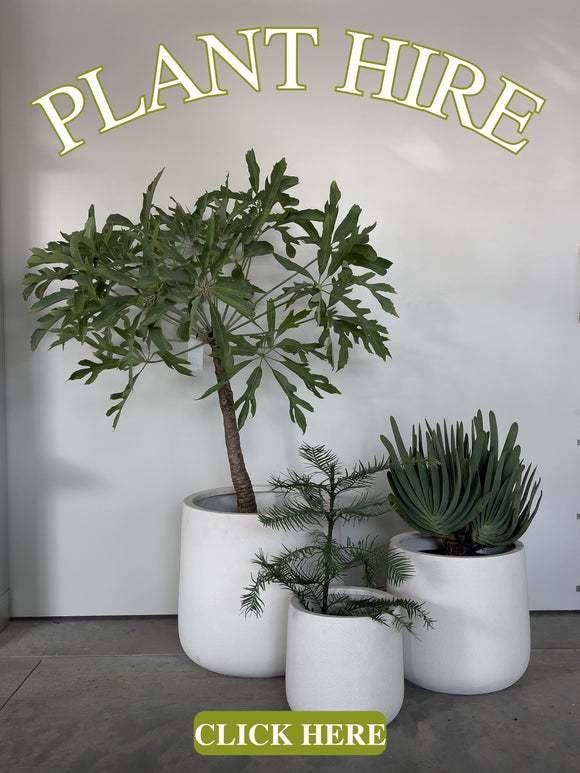 Plant Hire Catalogue