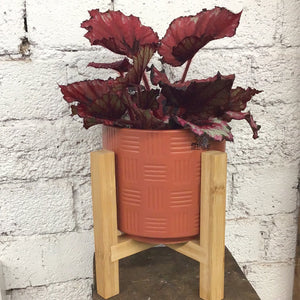 Plant stands