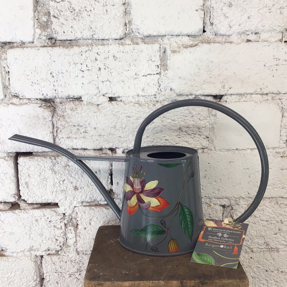 Passiflora watering can
